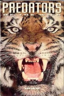 Predators of the Wild: Tiger Trailer