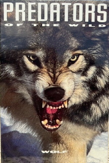 Predators of the Wild: Wolf Trailer