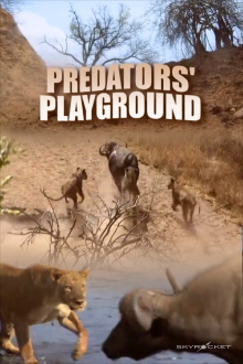 Predator's Playground Trailer
