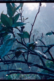 prendas — ngangas — enquisos — machines {each part welcomes the other without saying} Trailer