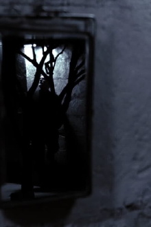 Presente continuo Trailer
