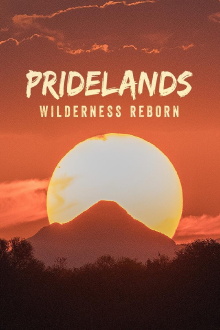 PRIDELANDS: WILDERNESS REBORN Trailer