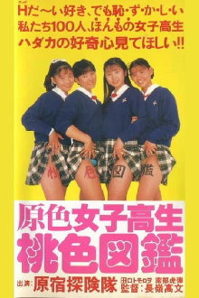 Primary Colour High School Girl Pink Picture Book Trailer