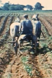 Prince Edward Island Trailer