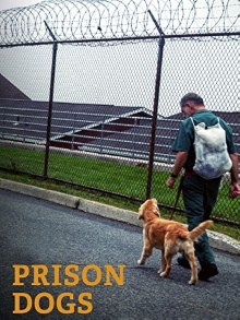 Prison Dogs Trailer