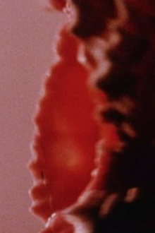 Private Property (Public Domain) Trailer