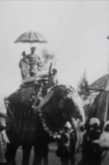 Procession of Elephants with Howdahs - India Trailer