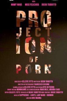 Projection of Porn Trailer