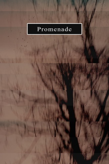 Promenade Trailer
