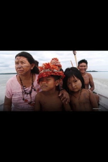 Protecting the Amazon Demands Radical Change Trailer
