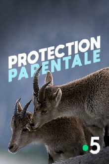 Protection parentale Trailer