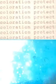 Protective Coloration Trailer
