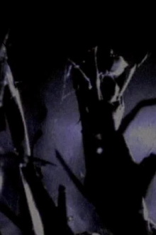 Prowler Trailer