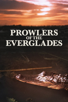 Prowlers of the Everglades Trailer