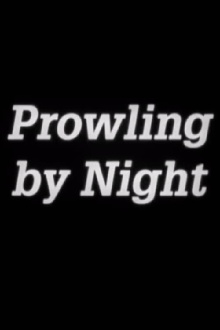 Prowling by Night Trailer