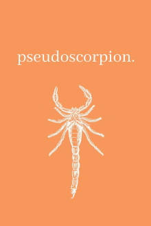 Pseudoscorpion Trailer