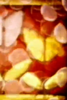 Psychedelic Cinema - Mesmerized by Uncertainty Trailer