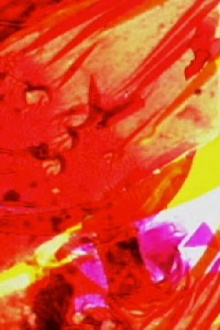 Psychosomatic Films 1-5 Trailer