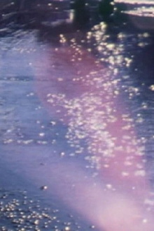 Puddle Trailer