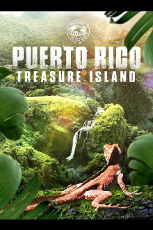 Puerto Rico: Treasure Island Trailer