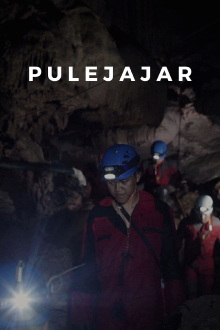 Pulejajar Trailer