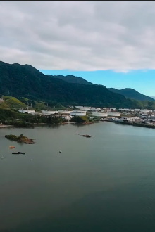 Pulsante: Um filme sobre a Baía do Araçá Trailer