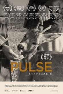 Pulse Trailer