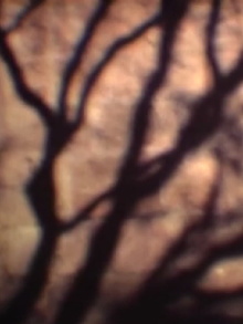 Pulsion Trailer