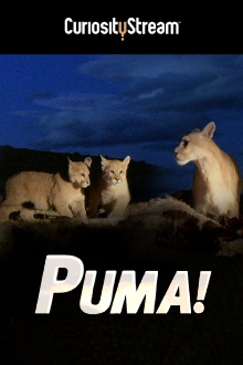 Puma! Trailer