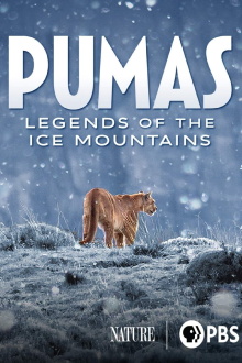 Pumas: Legends of the Ice Mountains Trailer