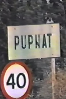 Pupnat '88 Trailer