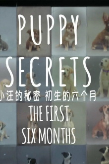 Puppy Secrets: The First Six Months Trailer