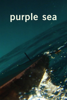 Purple Sea Trailer