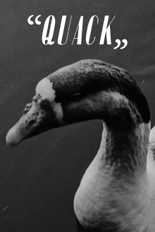 “Quack” Trailer