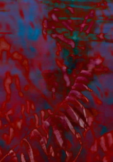 Qualcosa di Rosso, Qualcosa di Blu (High Tide / Low Tide) Trailer