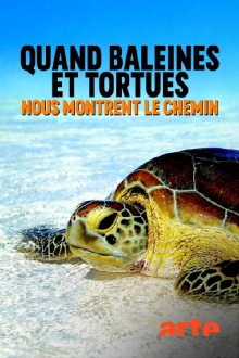 Quand baleines et tortues nous montrent le chemin Trailer