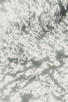 Quanta Trailer