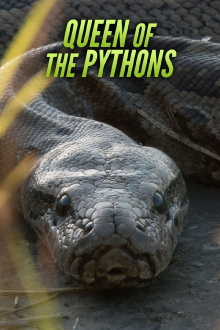 Queen of the Pythons Trailer