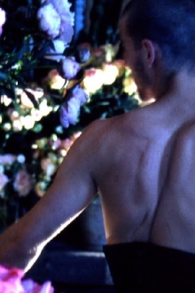 Quelques fleurs pour un chant d'amour Trailer
