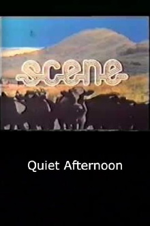 Quiet Afternoon Trailer