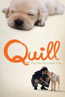 Quill: The Life of a Guide Dog Trailer