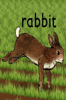 Rabbit Trailer