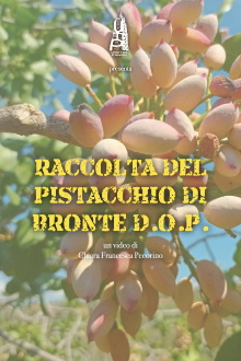 Raccolta del pistacchio di Bronte D.O.P. Trailer