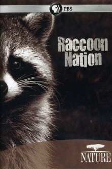 Raccoon Nation Trailer