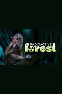 Radioactive Forest: 10 Years After Trailer