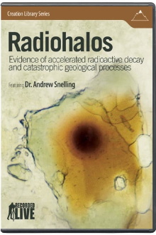 Radiohalos Trailer