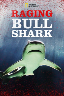 Raging Bull Shark Trailer