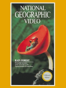 Rain Forest Trailer