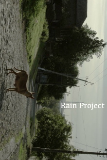 Rain Project Trailer