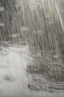 Rain: Then and Now Trailer